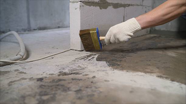 Top rated local Waterproofing specialists in New Lebanon, OH